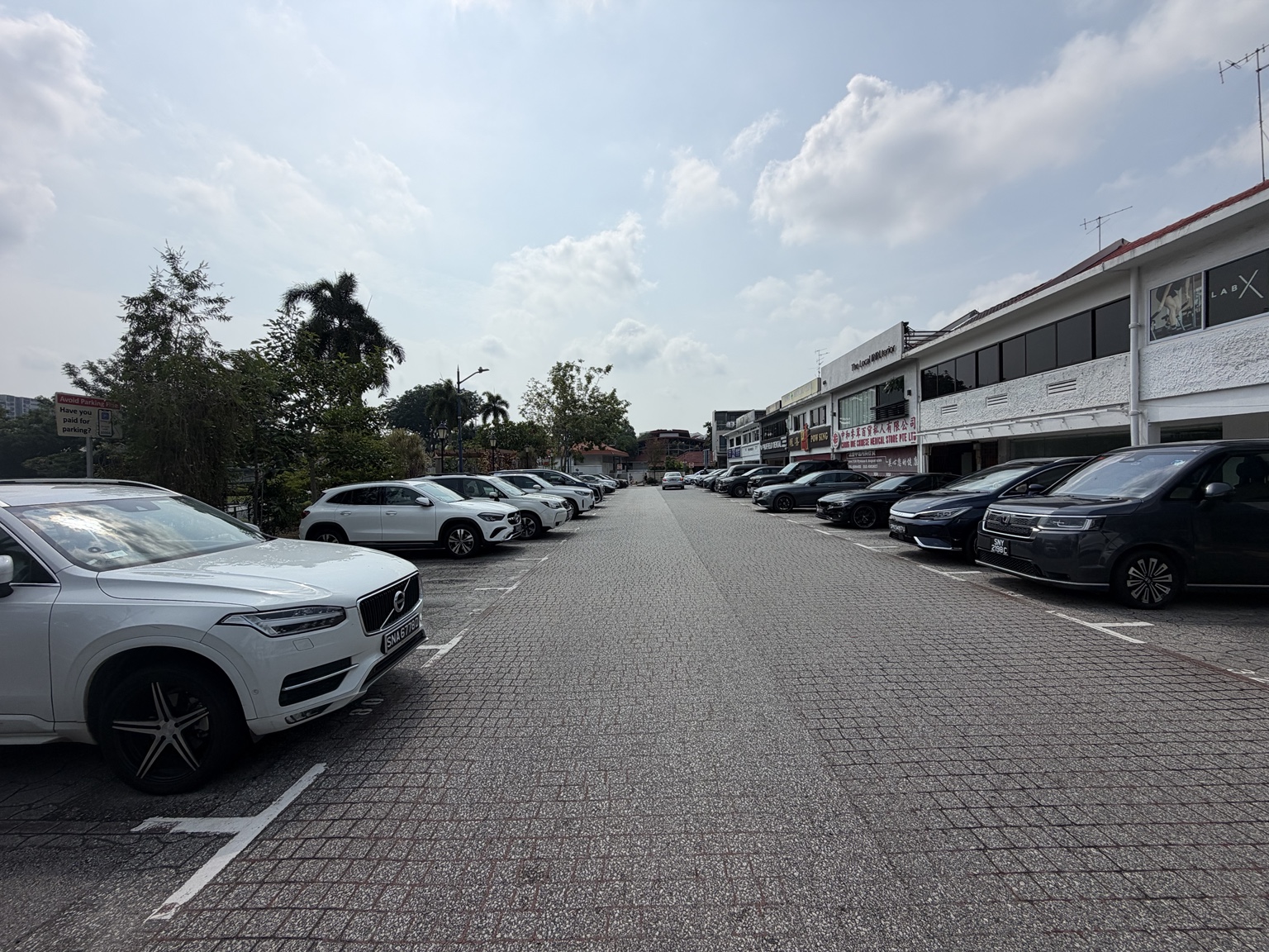 Two rows of parking spaces along the driveway near 63 Serangoon Gardens Way